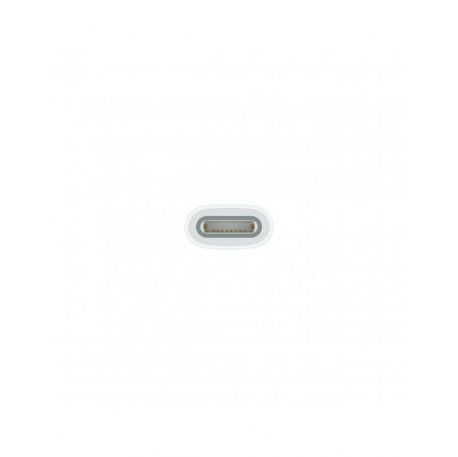 Adattatore da USB-C a Apple Pencil - MWML3ZM/A