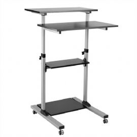 ROLINE PC-STANDING WORKSTATION, NERO/GRIGIO - 17.02.1547